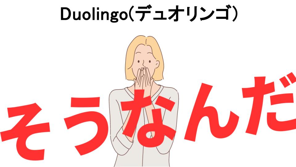 意味ないと思う人におすすめ！Duolingo(デュオリンゴ)の代わり